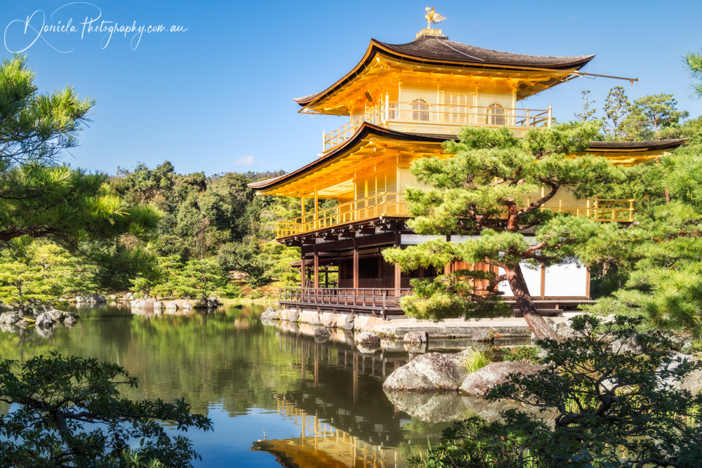 Golden Pavilion or Kinkaku ji Temple in the morning in Kyoto